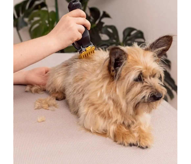 Wahl Maszynka dla zwierząt WAHL Colour Pro Cordless Pet - 1490058 - zdjęcie 4